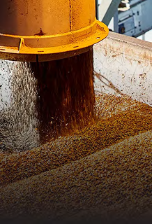 Food Processing Machinery